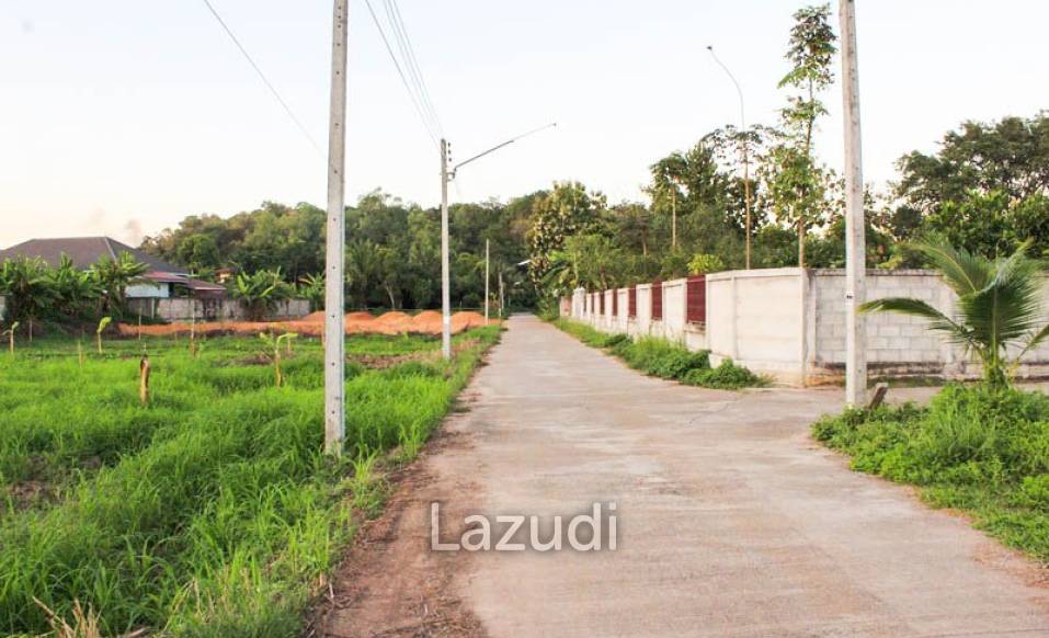 Land for Sale in Chiang Rai