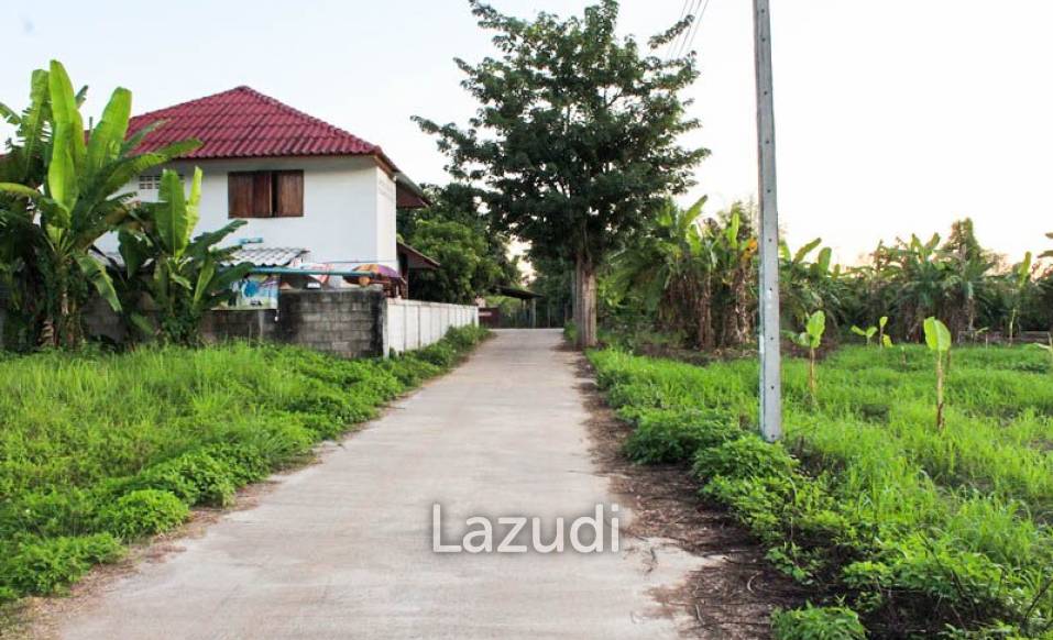 Land for Sale in Chiang Rai