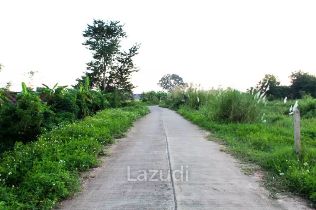 The Land is Suitable for Building a House