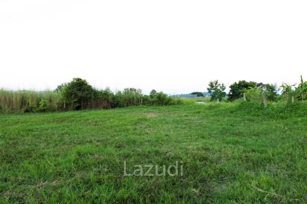 The Land is Suitable for Building a House