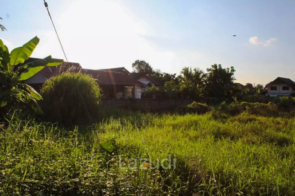 The Land is Suitable for Building a House.