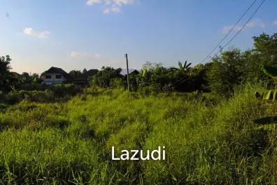 The Land is Suitable for Building a House.