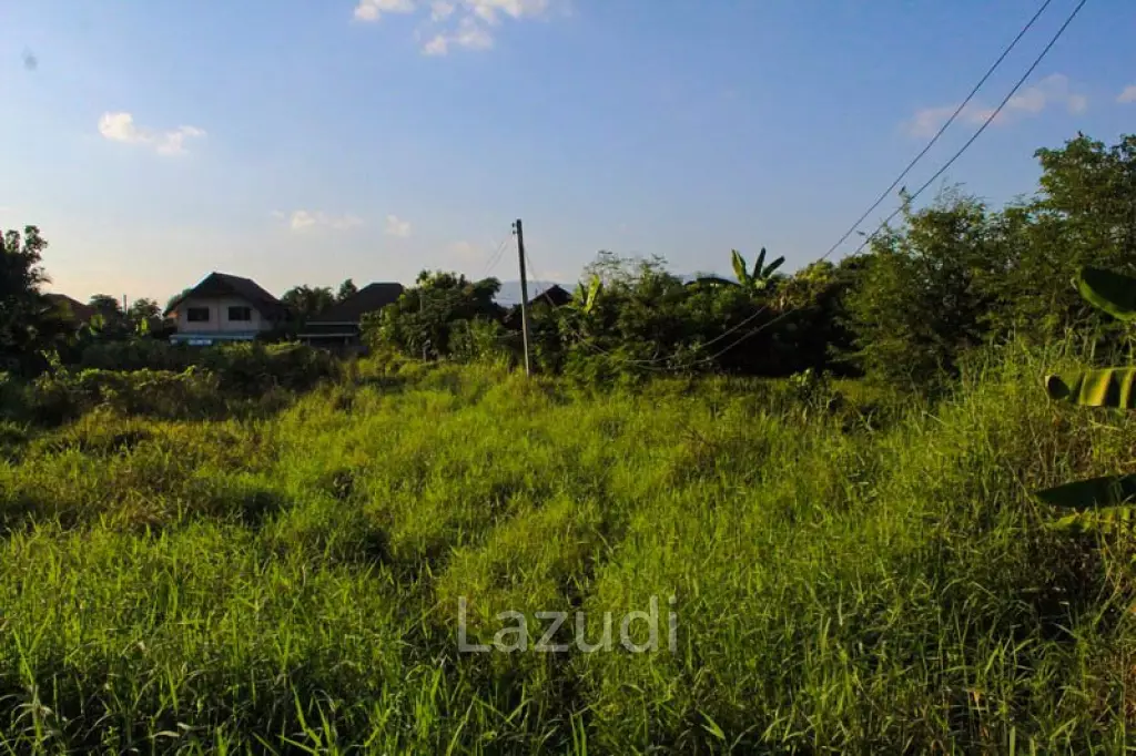 The Land is Suitable for Building a House.