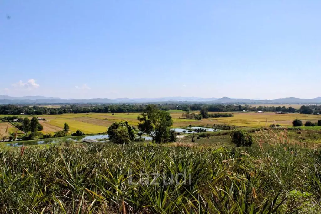 Land for Sale in Chiang Saen