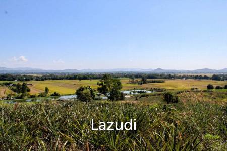 Land for Sale in Chiang Saen