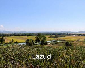 Land for Sale in Chiang Saen