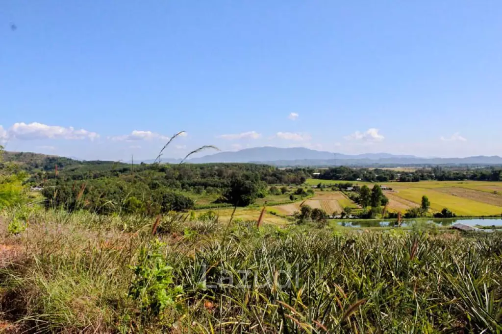 Land for Sale in Chiang Saen