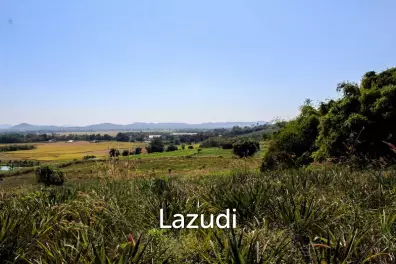 Land for Sale in Chiang Saen