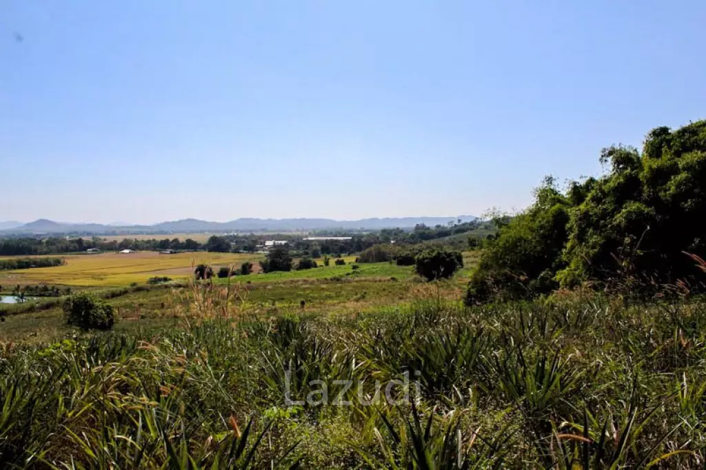 Land for Sale in Chiang Saen