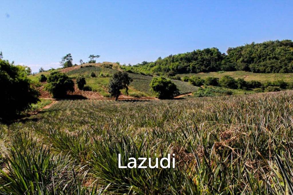 Land for Sale in Chiang Saen