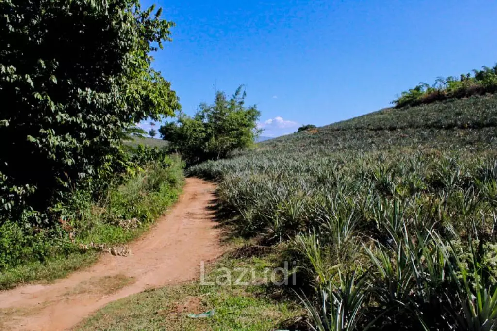 Land for Sale in Chiang Saen