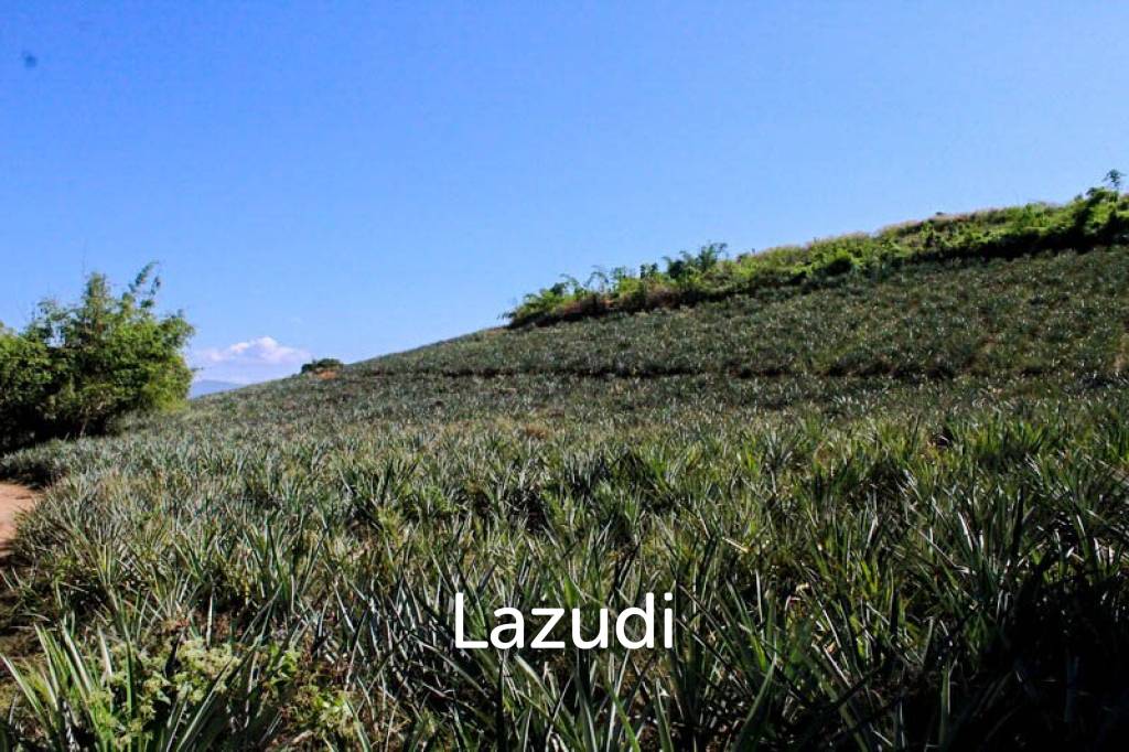 Land for Sale in Chiang Saen