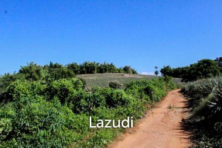 Land for Sale in Chiang Saen