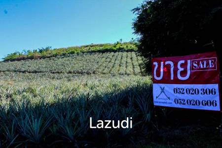 Land for Sale in Chiang Saen