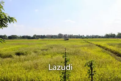 Large Land for Sale