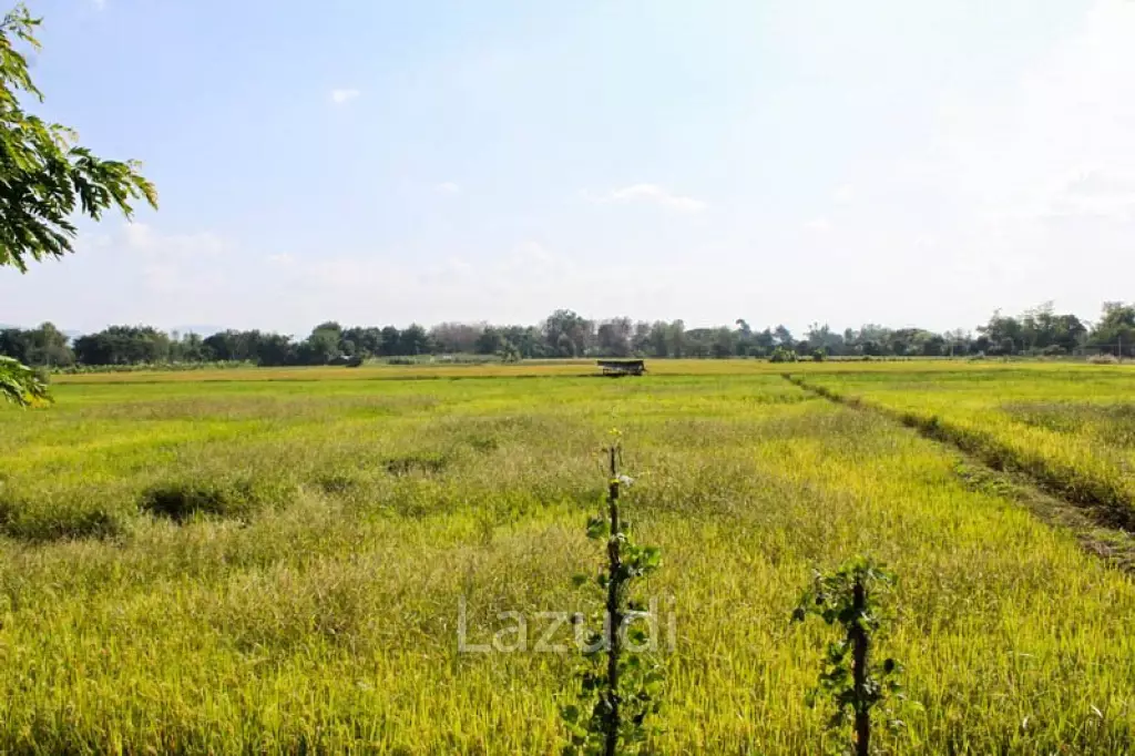 Large Land for Sale