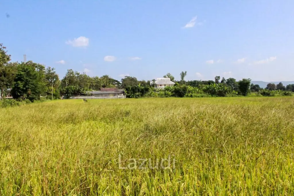 Large Land for Sale