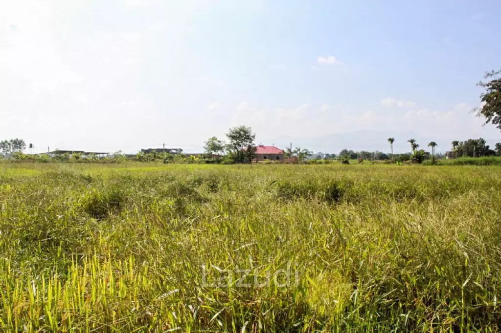 Large Land for Sale
