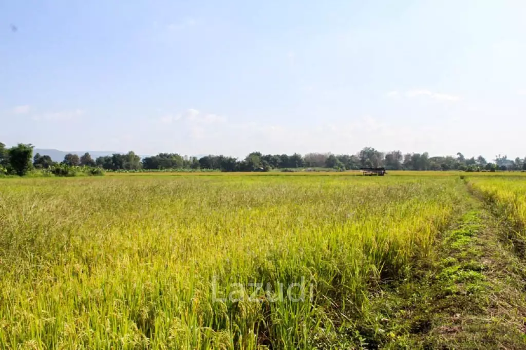 Large Land for Sale