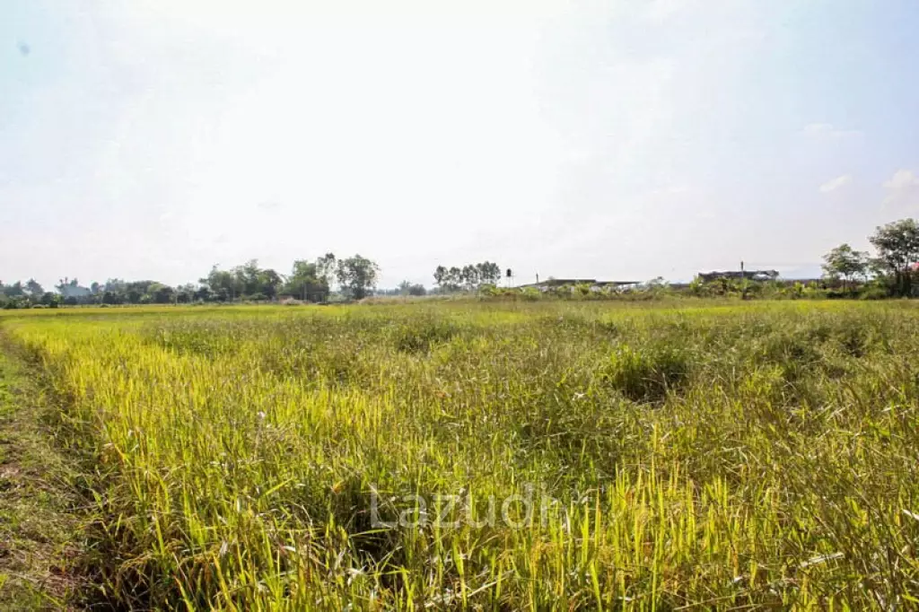 Large Land for Sale