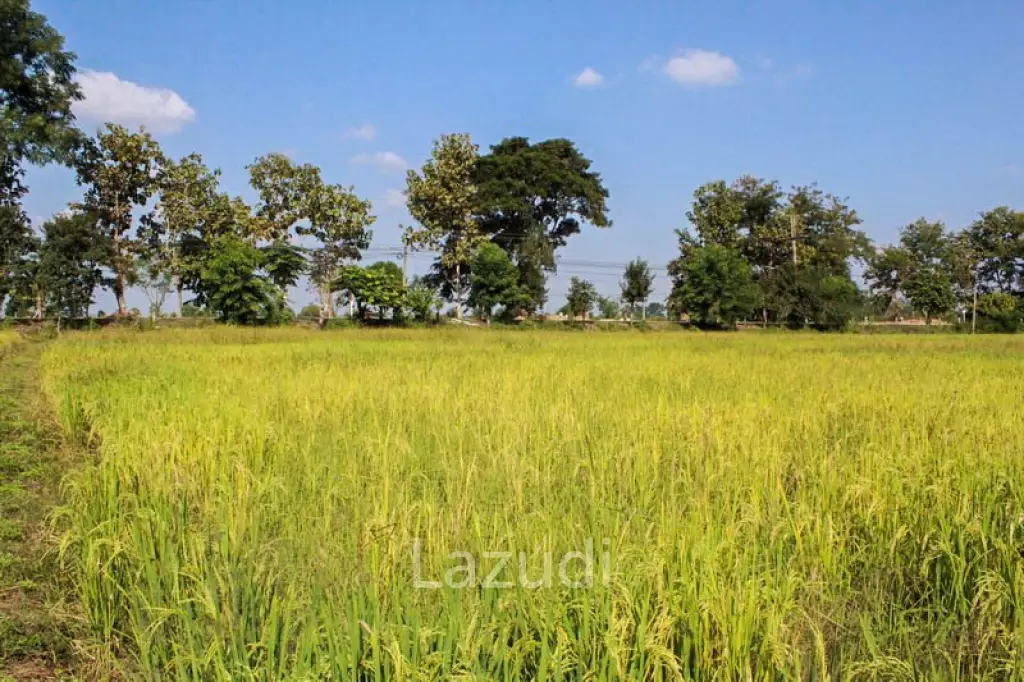 Large Land for Sale