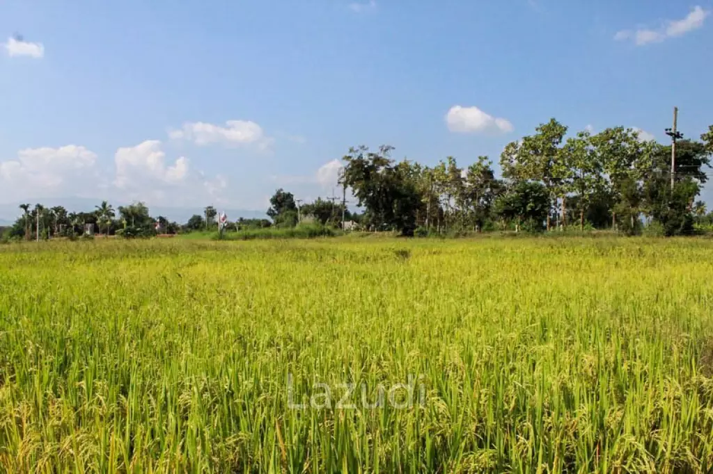 Large Land for Sale