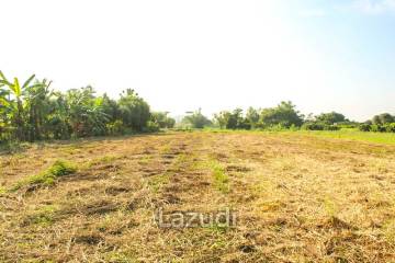 Land for Sale in Mae Lao