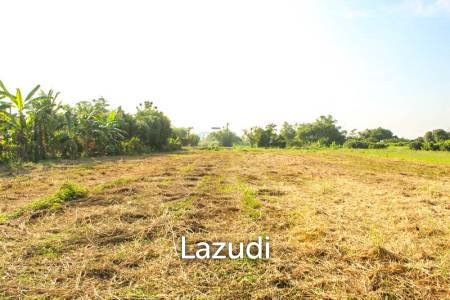 Land for Sale in Mae Lao