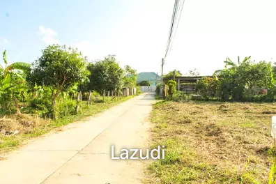 Land for Sale in Mae Lao