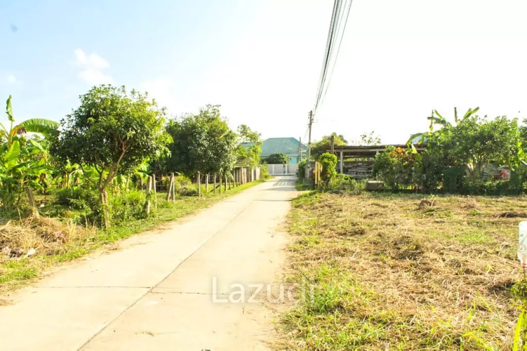 Land for Sale in Mae Lao