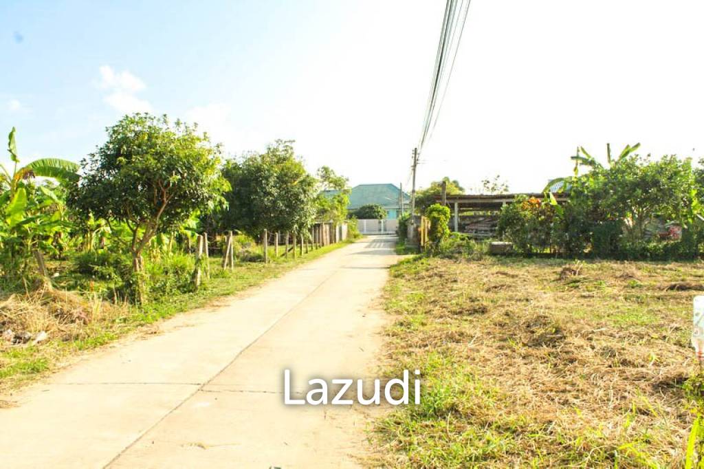 Land for Sale in Mae Lao