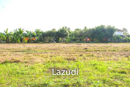 Land for Sale in Mae Lao