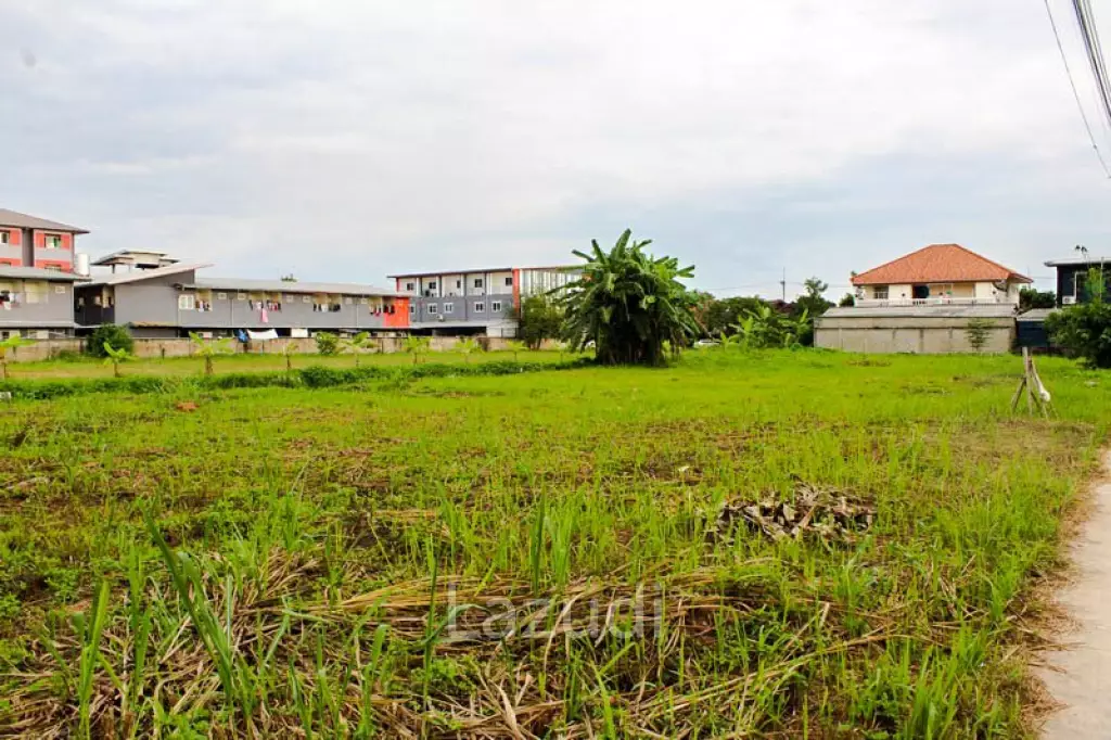 Land for Sale Chiang Rai