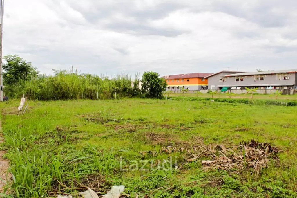 Land for Sale Chiang Rai