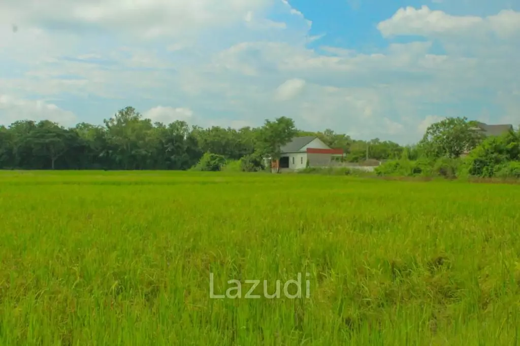 27 Rai of Land for Sale
