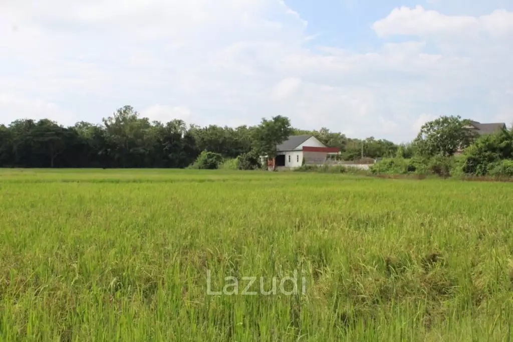 27 Rai of Land for Sale