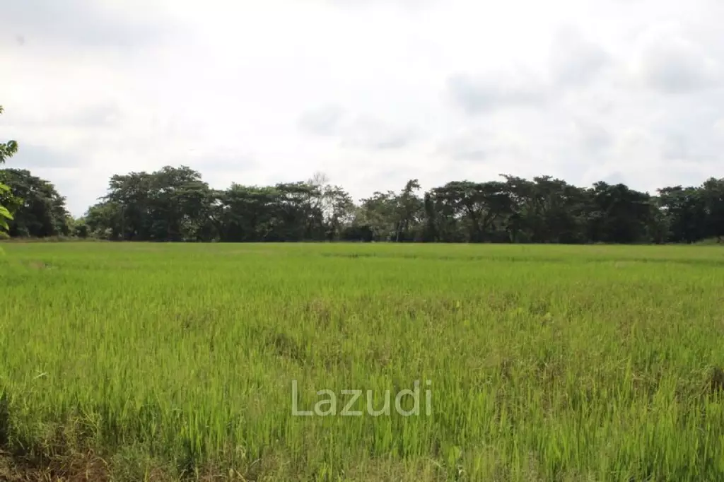 27 Rai of Land for Sale