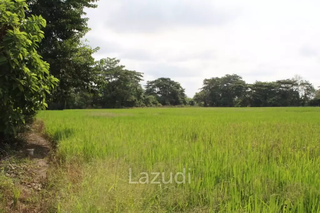 27 Rai of Land for Sale