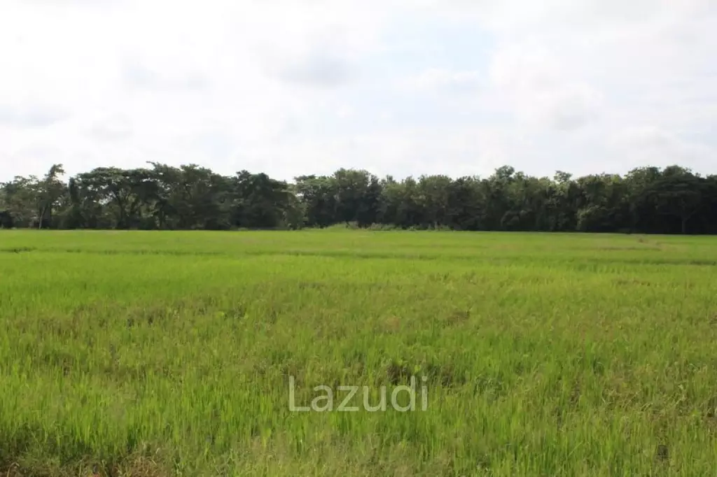 27 Rai of Land for Sale
