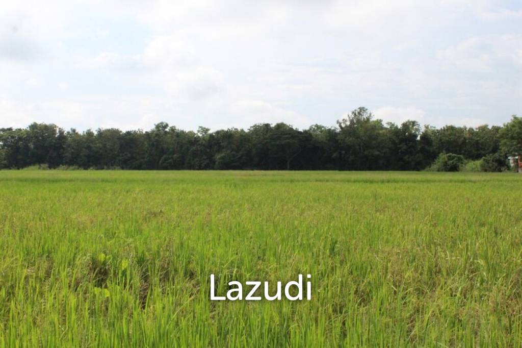 27 Rai of Land for Sale