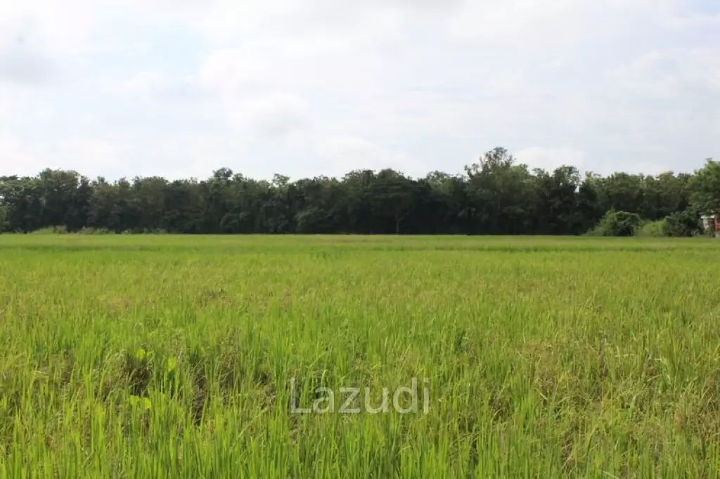 27 Rai of Land for Sale