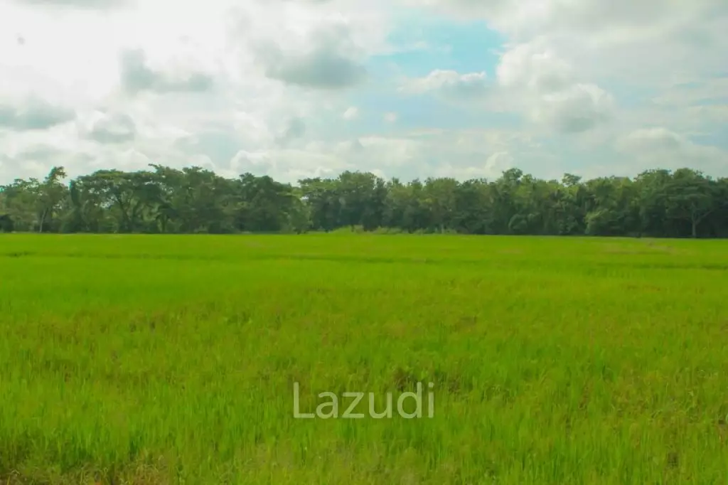 27 Rai of Land for Sale