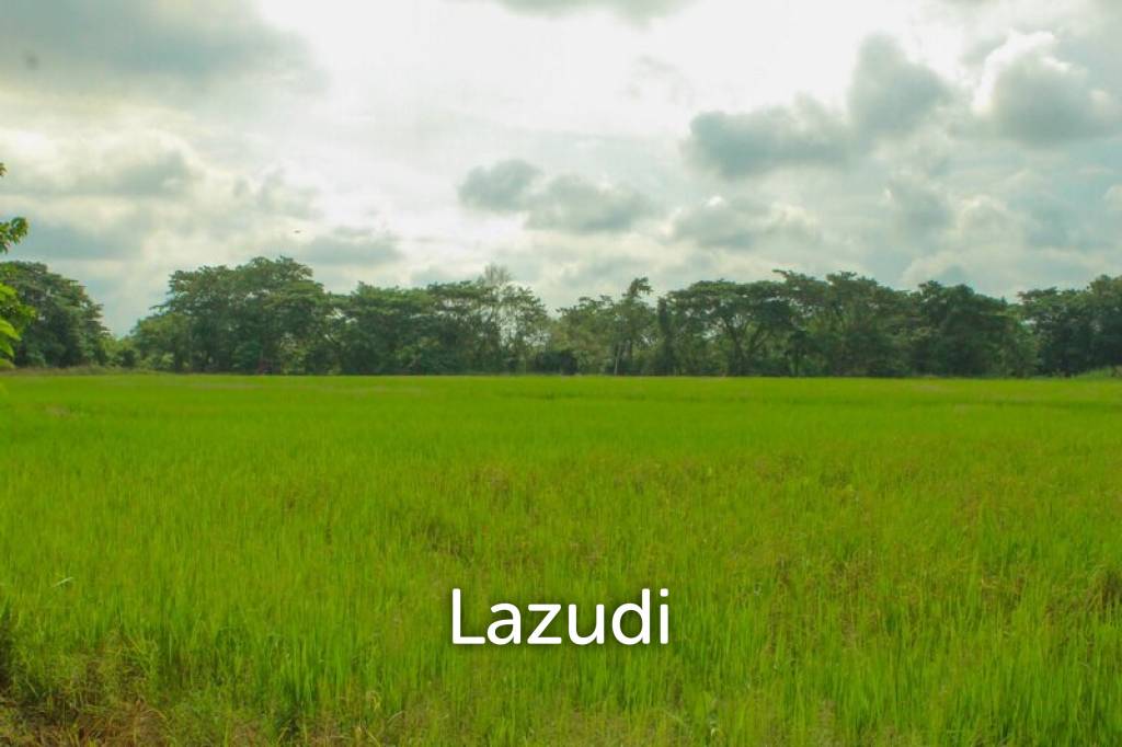 27 Rai of Land for Sale