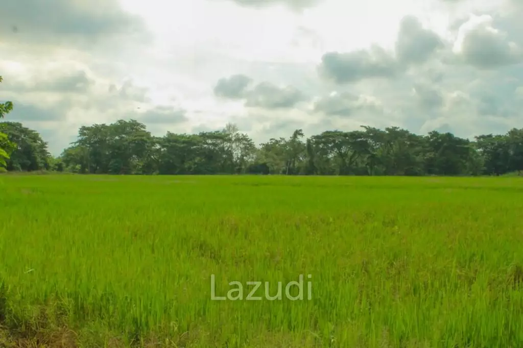 27 Rai of Land for Sale