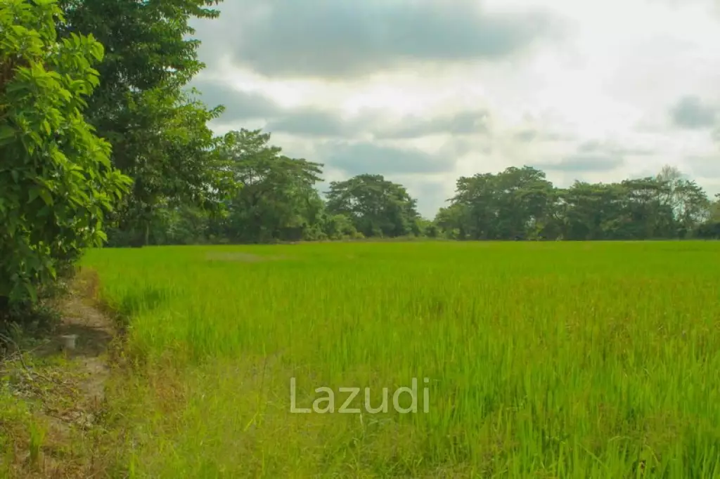 27 Rai of Land for Sale