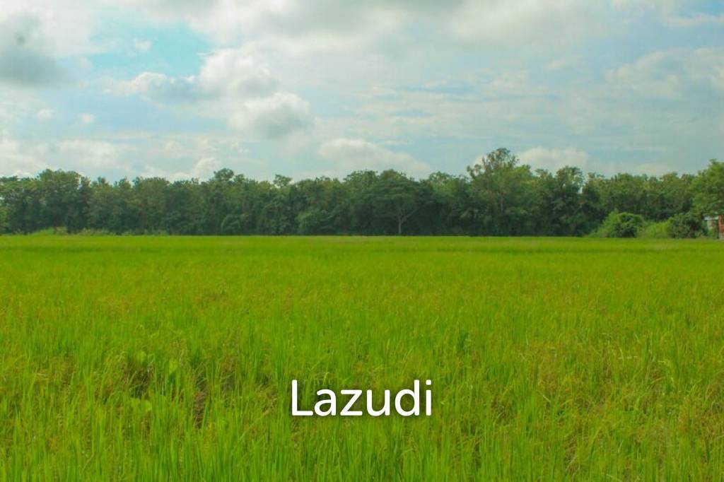 27 Rai of Land for Sale