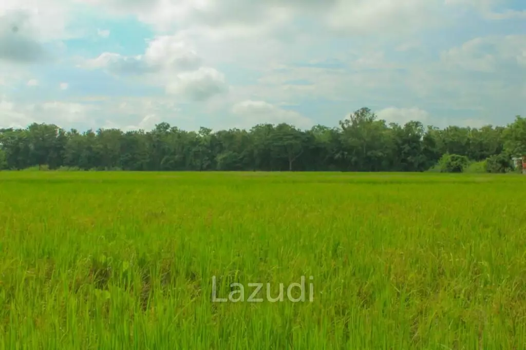 27 Rai of Land for Sale