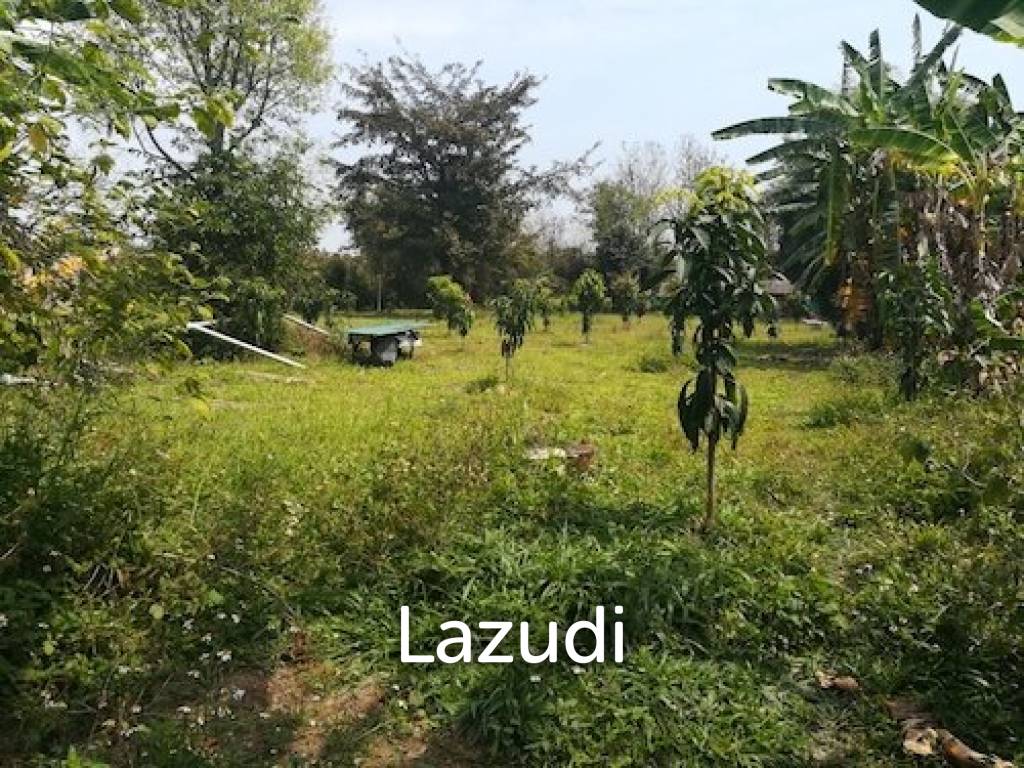 House on 8 rai of Land for Sale in Whiang Chai