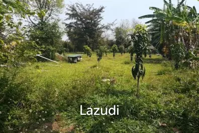 House on 8 rai of Land for Sale in Whiang Chai