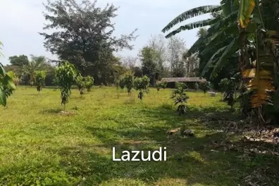 House on 8 rai of Land for Sale in Whiang Chai